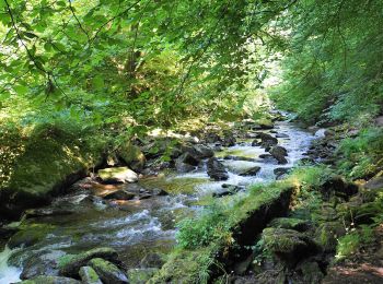 Trail On foot North Devon - Countisbury figure of eight walk - Photo