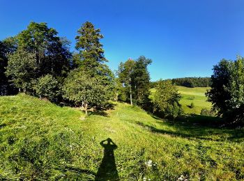 Randonnée A pied Welschenrohr-Gänsbrunnen - Weissenstein – Passwang Weg - Photo