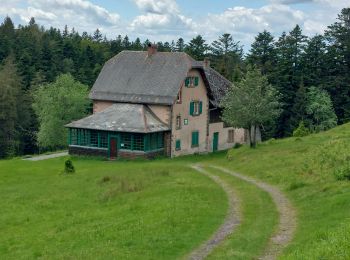 Randonnée Marche Walscheid - Elsassblick Baraque Carrée - Photo