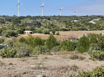 Trail Walking La Palme - la palme la jasse - Photo