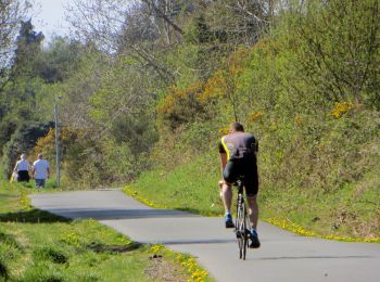 Percorso A piedi  - Comber Greenway - Photo