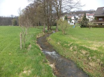 Tour Zu Fuß Sinntal - Altengronau - Rundweg am Grauberg - Tanne - Photo