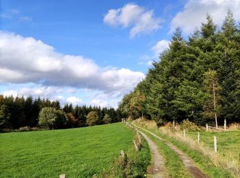 Trail Walking Lierneux - Promenade vers la réserve naturelle de Colanhan (8km) - Photo