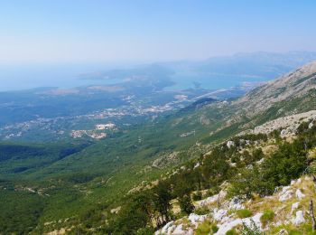 Trail Walking  - 2019-09-12_22h03m26_t26405094_la vie des loups np lovcen - Photo