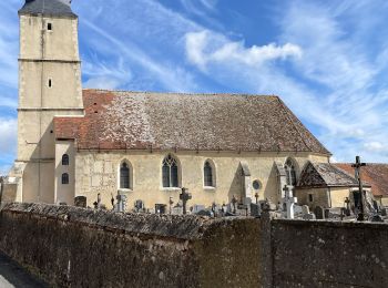 Percorso Marcia Arcisses - Rando Brunelles - Photo