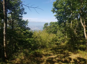 Excursión Senderismo Étrembières - Etrembieres - Camp des Allobroges - Photo