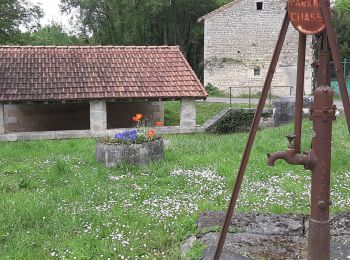 Trail Walking Montignac-Charente - La rando de Puyssanganou entre Montignac et saint Amand de Boixe - Photo