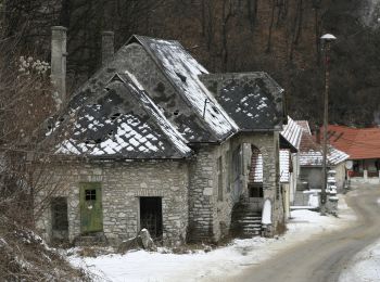 Randonnée A pied Miskolc - S+ Bánkút - Ómassa - Photo