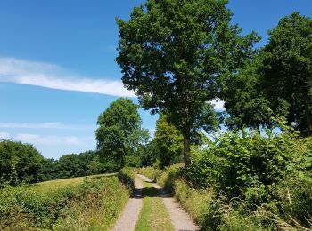 Tour Wandern Sprimont - Banneux - Rouge Thier - Adzeux - Photo