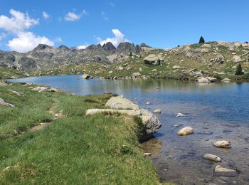 Tocht Stappen Naut Aran - tour des Colomers acc - Photo