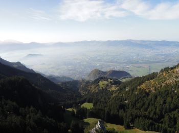 Percorso A piedi Stadt Hohenems - Schwarzenbergrundweg - Photo