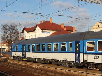 Randonnée A pied Blučina - [Z] Hrušovany u Brna - Blučina - Photo