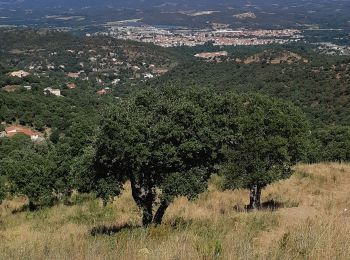 Tour Wandern Montesquieu-des-Albères - Collioure Montesquieu les Albères - Photo