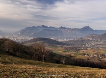 Excursión Senderismo Brié-et-Angonnes - Brié - Montchabout - Sommet de Pravena - Photo