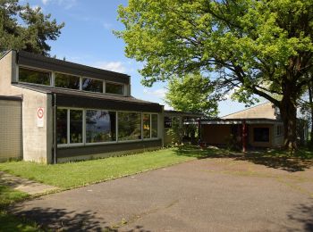 Tour Zu Fuß Küsnacht - Forch - Fluntern - Photo