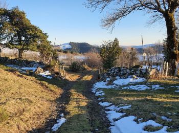 Tocht Stappen Tournemire - Layrac - Photo