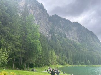 Percorso Marcia Montriond - Lac de Montrion, cascade d’Argent - Photo