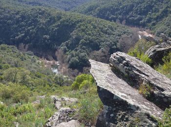 Tour Wandern Les Arcs-sur-Argens - Les Arcs - Forêt Apiès depuis Pont d'Aille - Photo