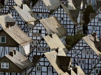 Tour Zu Fuß Freudenberg - Freudenberg Rundweg A5 - Photo