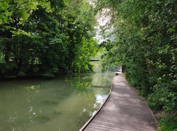 Trail Walking Maisons-Alfort - Le sentier de forts partie est - Photo