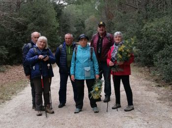 Tocht Stappen Saint-Trojan-les-Bains - i'e olzro - Photo