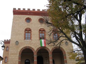 Percorso A piedi Barolo - Sentieri Langa Barolo - Photo
