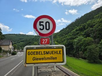 Percorso Marcia Bourscheid - De Michelau à Goebelsmühle  - de gare en gare 🚂 - CFL 9 - Photo