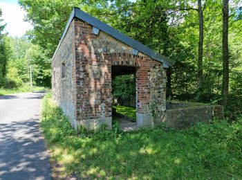 Tour Wandern Vendôme - Randonnée dans le Bois de l'Oratoire à Vendôme  - Photo