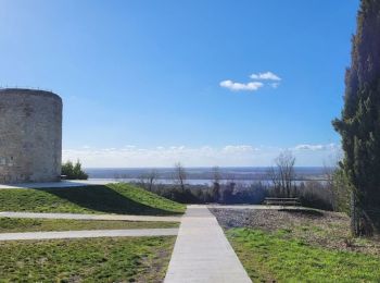 Trail Walking Saint-André-de-Cubzac - Parc Robillard • Moulin de Montalon - Photo