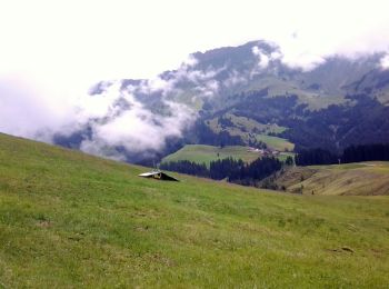 Tocht Te voet Escholzmatt-Marbach - Nesslenboden - Unt. Schübelsmoos - Hürnli - Photo