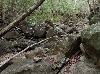 Randonnée Marche Deshaies - anse des fous - Photo