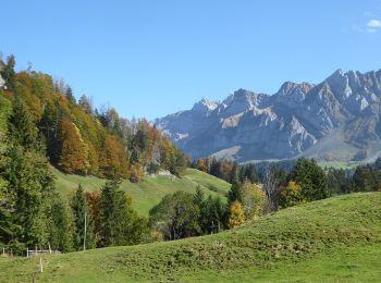 Tour Zu Fuß Nesslau - Lutertannen-Windenpass - Photo