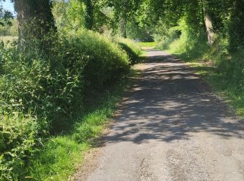 Randonnée Marche Saint-Lô - Ballade 2 juin 2020 - Photo