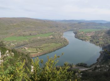 Tour Wandern Poncin - Le Tour de l'Ain de Poncin à Serrières-sur-Ain et retour - Photo