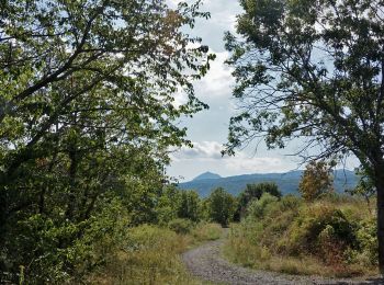 Tocht Stappen Blanzat - Blanzat_Plateau_Bade - Photo