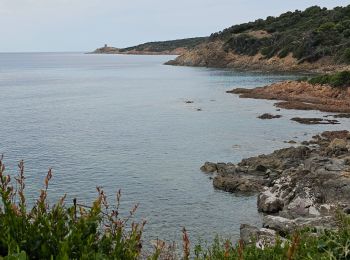 Percorso Marcia Cargèse - La Tour Omigna depuis Cargèse - Photo