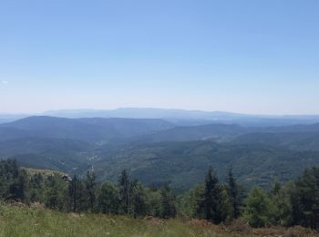 Tour Wandern Pont de Montvert - Sud Mont Lozère - Montagne du Bougès - Photo