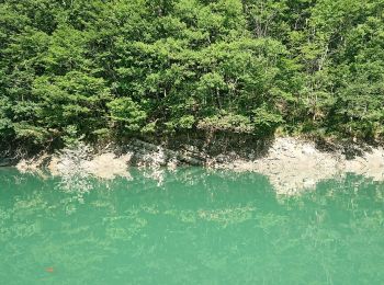 Tour Zu Fuß Bagno di Romagna - Sul lago di Ridracoli - Photo