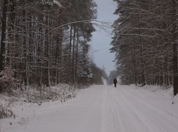 Percorso A piedi Niekłań Wielki - Przyrodnicza Ścieżka Dydaktyczna Klubu 4H w Niekłaniu Wielkim - Photo