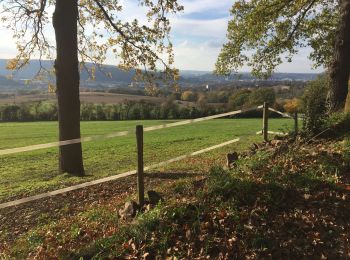 Tocht Mountainbike Luik - Liège Chênée Chèvremont Beyne-Heusay - Photo