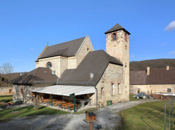 Tour Zu Fuß Gemeinde Mannersdorf am Leithagebirge - Kleiner und Großer Rundwanderweg Mannersdorf - Photo