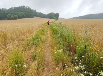 Percorso Marcia Wavre - 2019-07-13 BVR  Wavre Reconnaissance - Photo