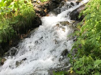 Excursión Senderismo Sainte-Foy-Tarentaise - Des bataillettes à plan dessous - Photo