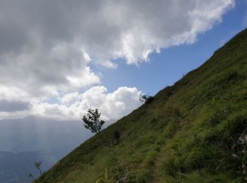 Tour Mountainbike Le Bouchet-Mont-Charvin - manigod - Photo