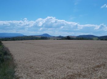 Trail On foot Bajót - Z+ (Bajót - Panorámaút - Látóerdő ) - Photo