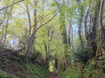 Tour Wandern Valorbiquet - St Cyr du Ronceray/Pretreville  - Photo