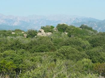 Percorso Marcia Zonza - a sarra - Photo