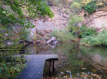 Randonnée Marche Bergheim - Boucle Thannenkirch  - Photo