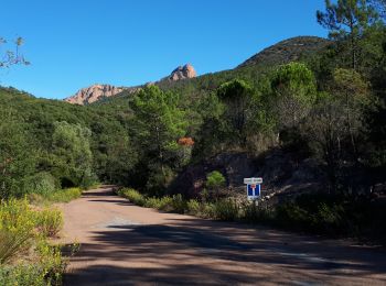 Tocht Mountainbike Saint-Raphaël - Peïre Sarade - Pic de l'Ours et retour - Photo