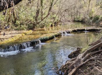 Tour Wandern Tourves - les gorges du carami - Photo